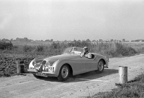 Jaguar xk120 p alston - xk120,