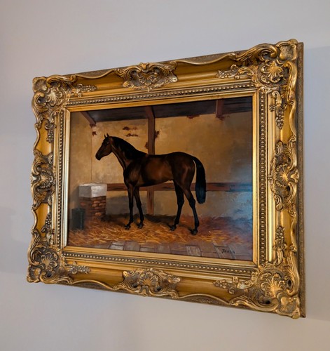 Truly stunning thoroughbred