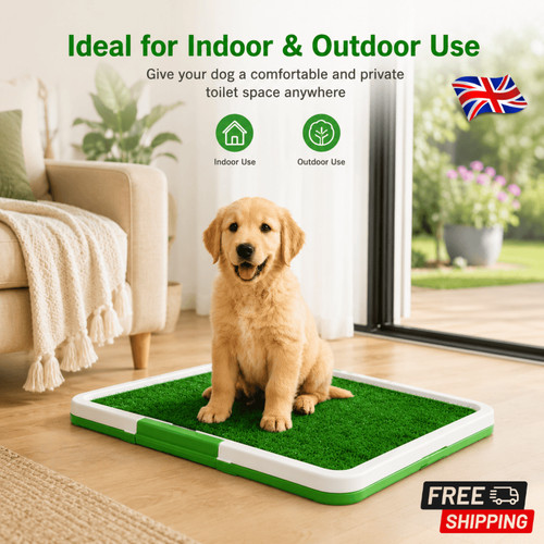 Dog toilet tray - tray, with