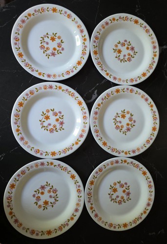 Set vintage arcopal - vintage,
