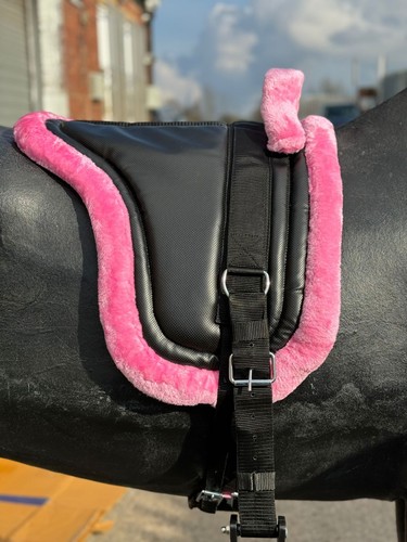 Equipride bareback riding pad - equipride,
