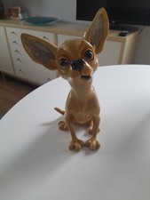 Little Paws "Pixie" Chihuahua