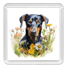 DOBERMAN Dog Acrylic Coaster