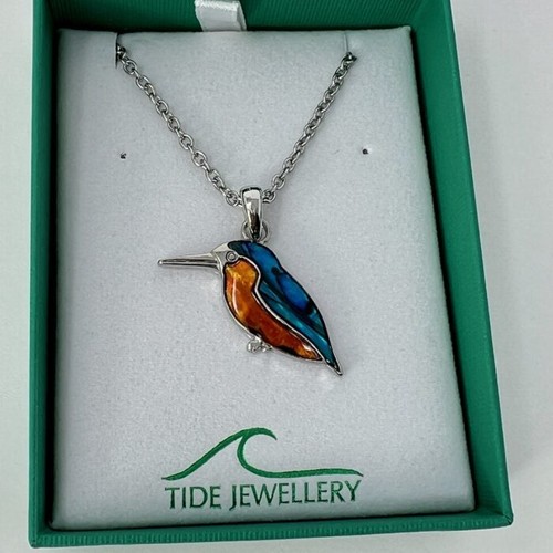 Kingfisher paua shell necklace - shell,