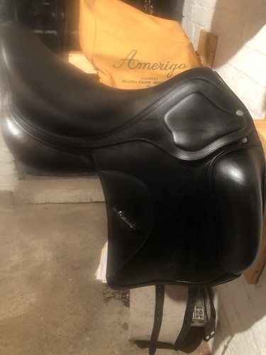 Amerigo siena dressage - amerigo,