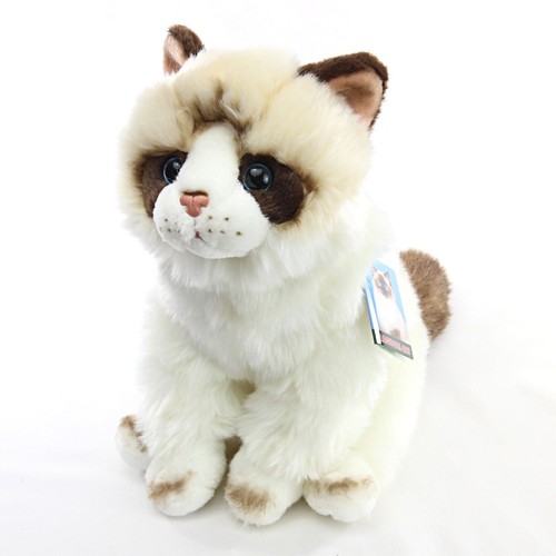 Ragdoll soft toy kitten - ragdoll, teddy