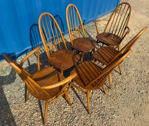 Ercol quaker dining chairs - 6,
