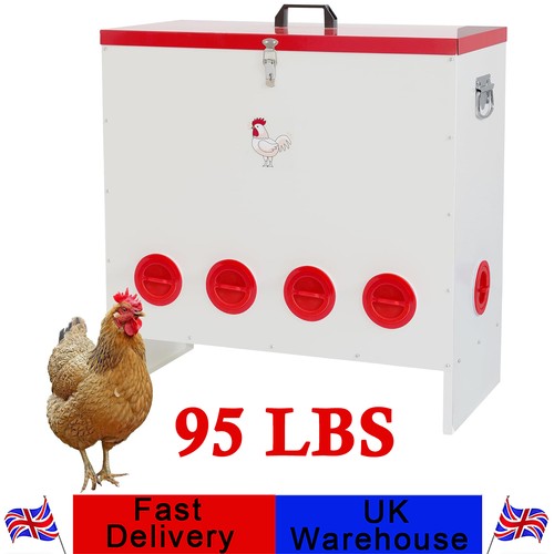 Pounds automatic chicken - automatic,