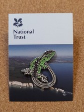 National Trust STUDLAND BAY Sand Lizard Charity Pin Badge RSPB Interest