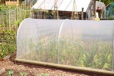 Cloche Polythene Cover Plastic