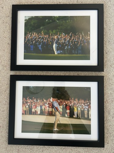Rory mcilroy winning - rory,