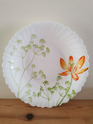 Soup cereal bowls - soup, glass