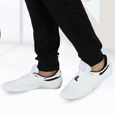 Tai Chi Martial Arts Boxing