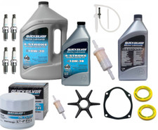 ANNUAL SERVICE KIT 100HP