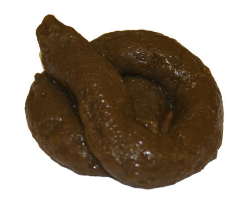 Sticky rubber poo realistic - sticky,