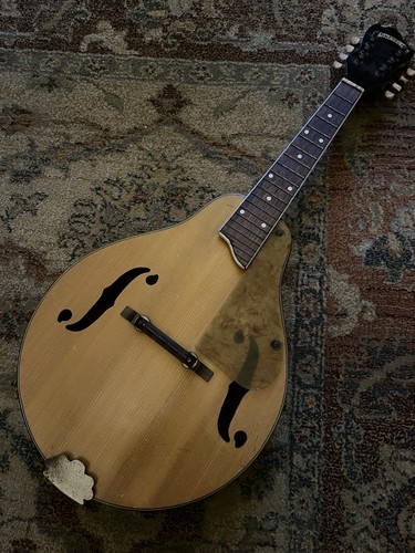Gretsch new york vintage - gretsch,