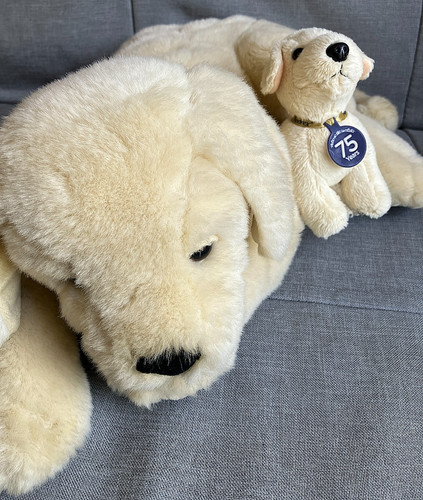 Andrex puppy dog - puppy, plush