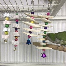 Natural Cuttlefish Bone Bones skewers Suitable  For Birds Tortoise Snails