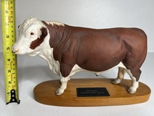 Polled Hereford Bull A