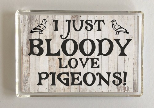 Pigeon novelty gift - novelty,