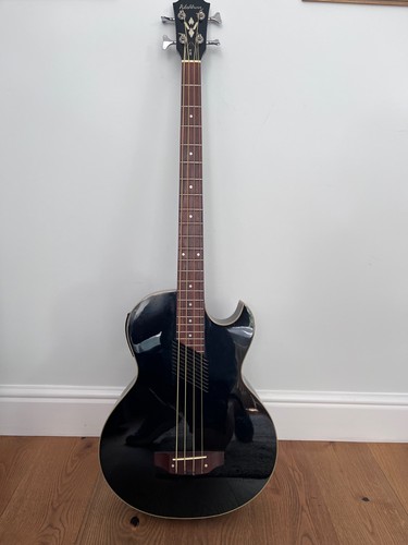 Washburn electro - ab, 10