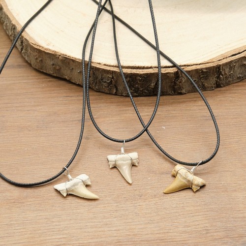Otodus shark tooth pendant - shark,