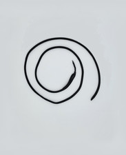 Falconry Paracord loop leash 40 Inch