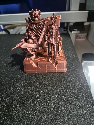Royal irish rangers printed - 3d,