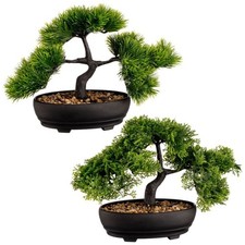 Bonsai Tree