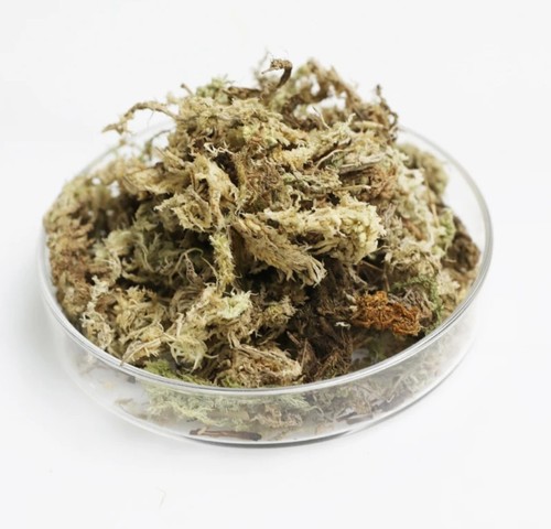Dried compact sphagnum moss - sphagnum, 6l