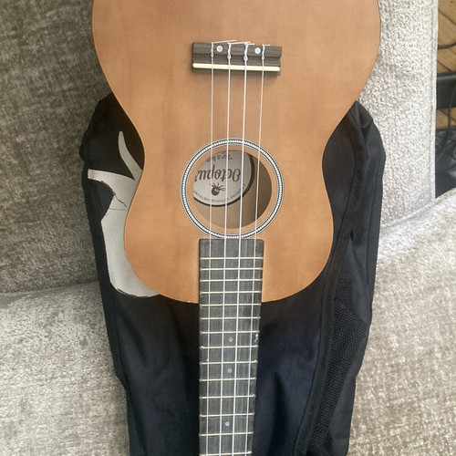 Octopus acoustic ukulele - octopus,