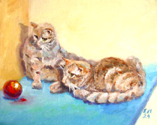Ginger Cats Original Oil