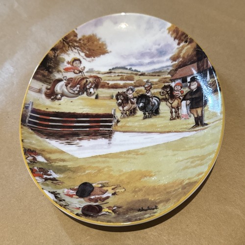 Thelwell the water jump - water,