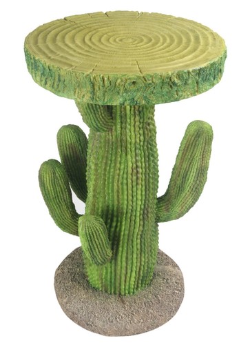 5cm cactus side - cactus, occasional