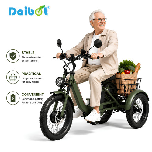 Daibot 750w electric trike - 750w,