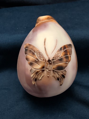 Hand carved tiger cowrie shell - tiger,