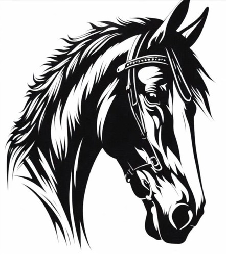 Horse box vinyl - vinyl, sticker