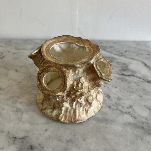 Early royal crown derby tree - early,