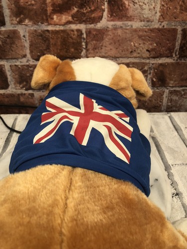 Plush british bulldog - british,