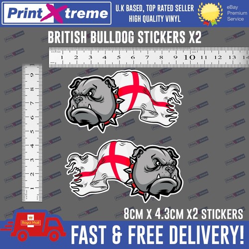 British bulldog george - bulldog,