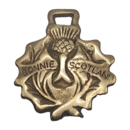 Bonnie scotland thistle brass - scotland,