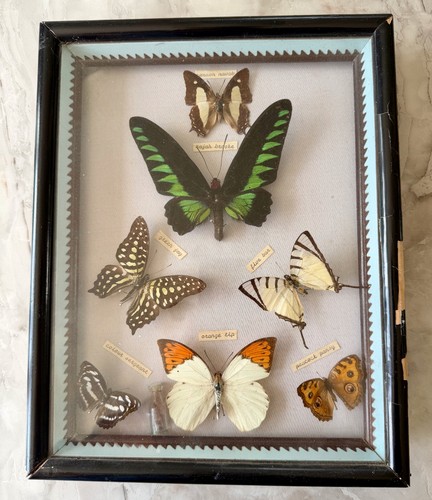 Vintage framed real - vintage,