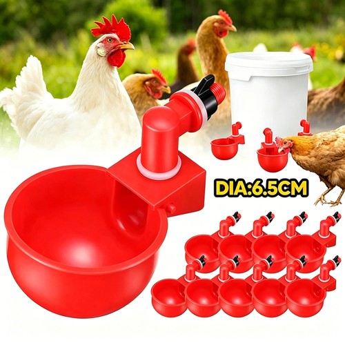 Automatic chicken water cup - 10,