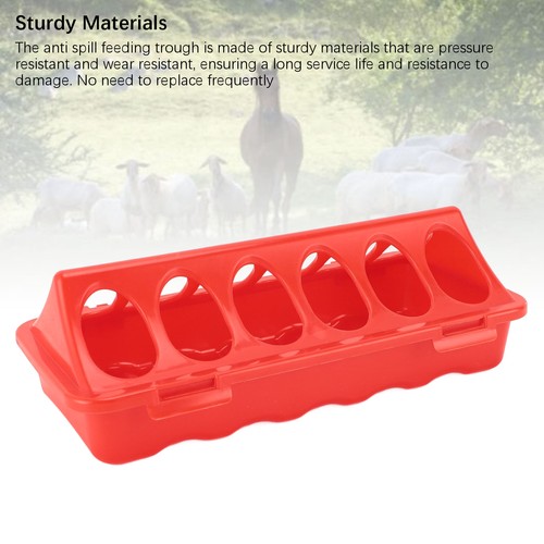 Long trough chicken feeder - trough,