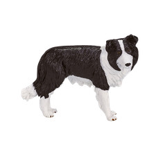 .Mojo BORDER COLLIE DOG farm