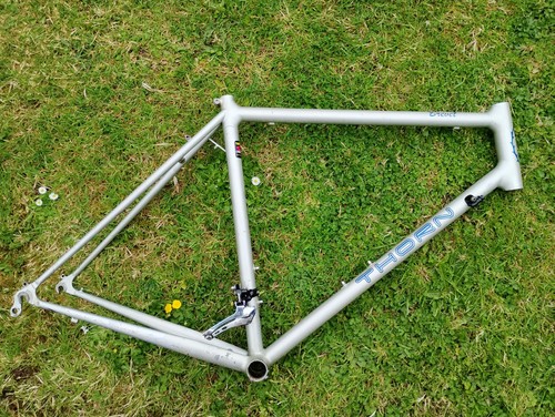 Thorn brevet frame - brevet, and