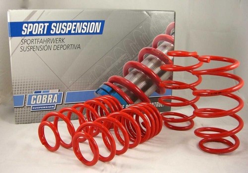 Cobrasport lowering springs - cobrasport,