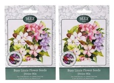 2 x Packs BEES Busy Lizzie