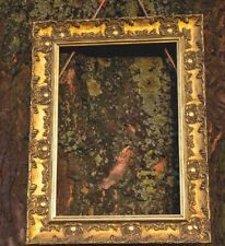 WIDE Ornate Shabby Chic Antique swept Picture frame photo frame  Gold  /MUSE 