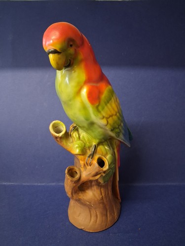 Vintage exotic bird - 40’s,